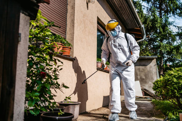 Best Pest Control for Homes  in Watonga, OK