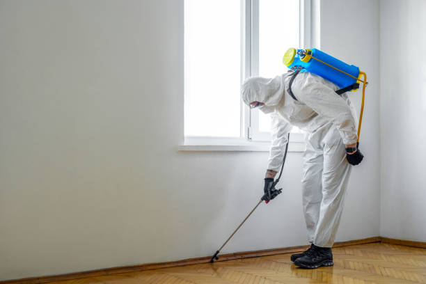 Trusted Watonga, OK Pest Control Experts