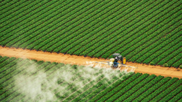 Best Affordable Exterminators  in Watonga, OK