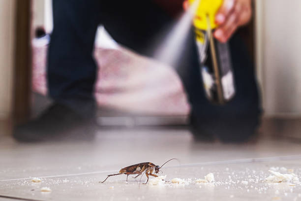 Best Pest Prevention Services  in Watonga, OK
