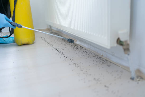 Best Insect Control  in Watonga, OK